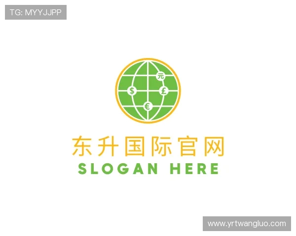 解读东升国际官网